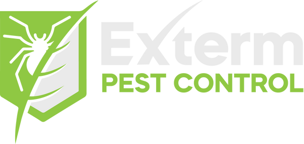 Pest Control Brampton